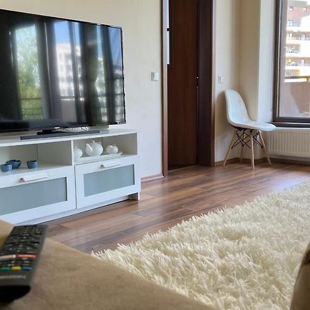 Plopilor Sdtudio Apartment Cluj Napoca Bagian luar foto
