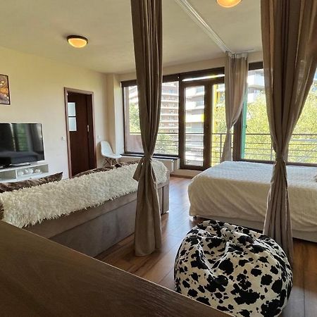 Plopilor Sdtudio Apartment Cluj Napoca Bagian luar foto