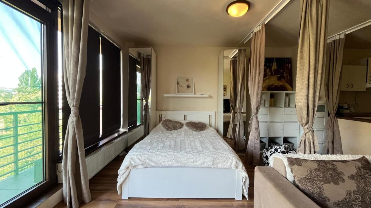 Plopilor Sdtudio Apartment Cluj Napoca Bagian luar foto