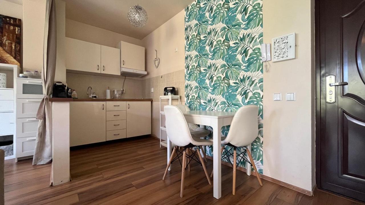 Plopilor Sdtudio Apartment Cluj Napoca Bagian luar foto